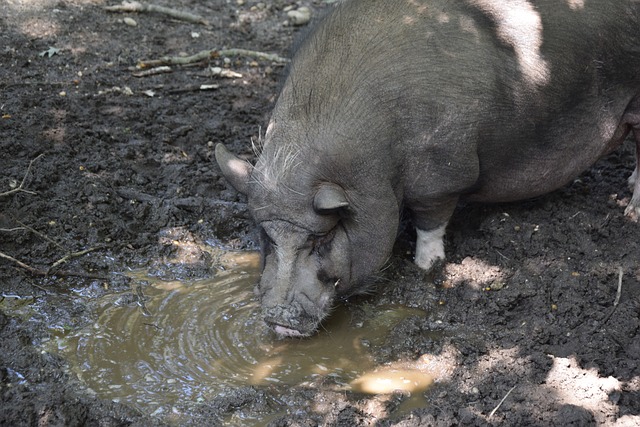 能激发更强 能激发更强
