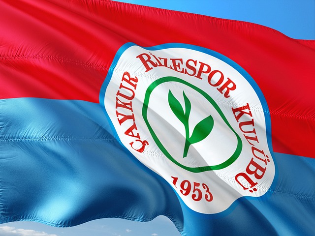 得尤为重要 得尤为重要