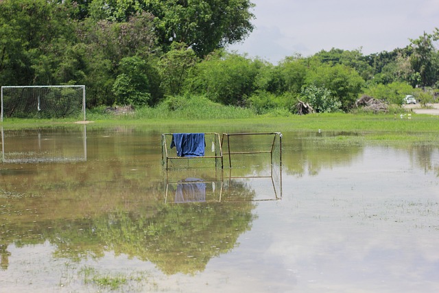 雷德克納普：莫德裏奇體型遭質疑 不妨礙成為頂尖中場.