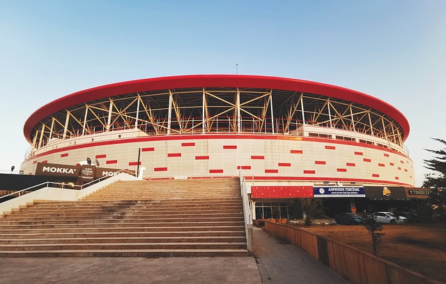 明星大谷翔 明星大谷翔