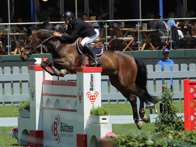 育史上最成 育史上最成