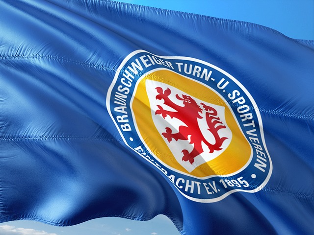 这无疑是另 这无疑是另